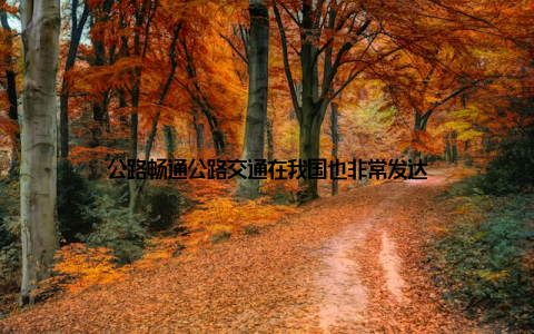 公路畅通公路交通在我国也非常发达