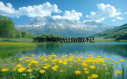 沙湖的美丽风光让我惊叹不已