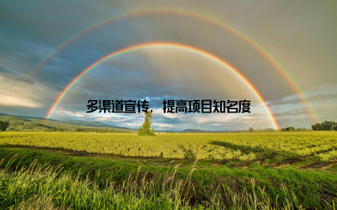 多渠道宣传, 提高项目知名度