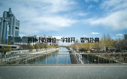 各种小吃摊位一字排开, 香气扑鼻