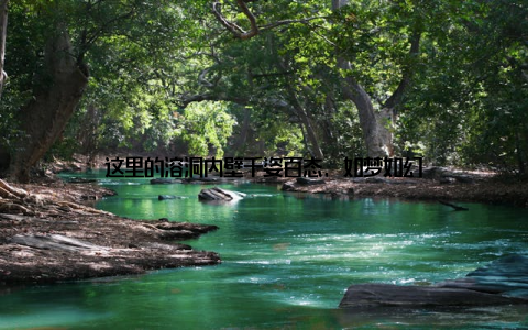 这里的溶洞内壁千姿百态, 如梦如幻