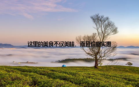 这里的美食不仅美味, 而且价格实惠