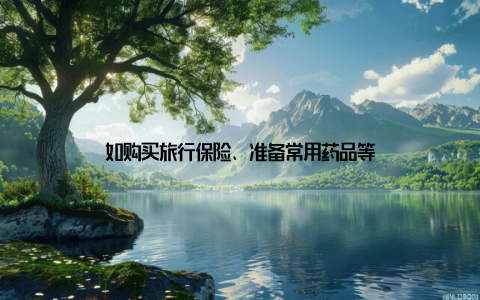 如购买旅行保险、准备常用药品等