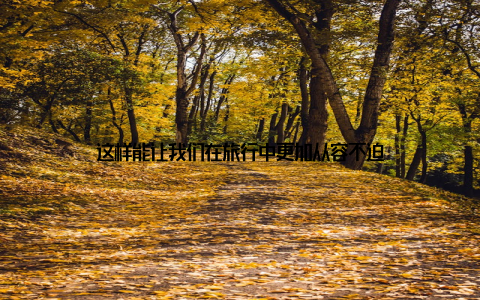 这样能让我们在旅行中更加从容不迫