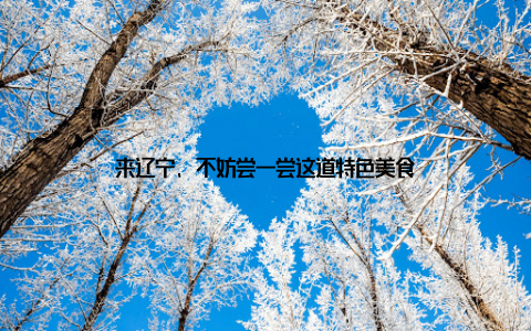 来辽宁, 不妨尝一尝这道特色美食