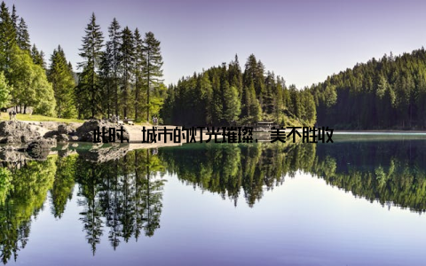 此时, 城市的灯光璀璨, 美不胜收