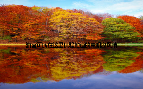 游客可以在这里体验地道的崇明岛风情