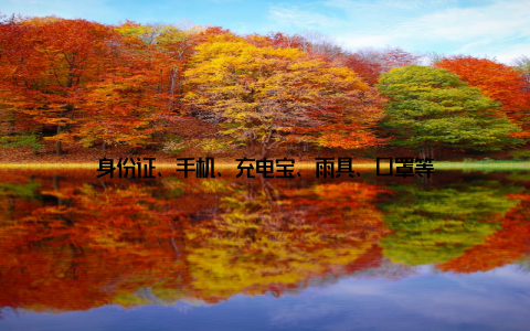 身份证、手机、充电宝、雨具、口罩等