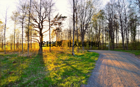 金秋美景, 让人心旷神怡