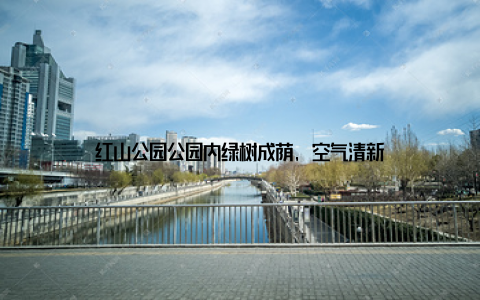 红山公园公园内绿树成荫, 空气清新