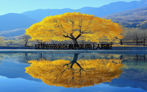 这里的宿舍区真的美得让人陶醉