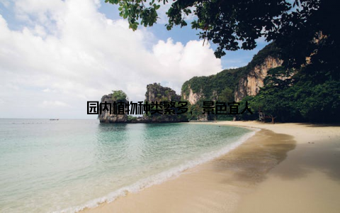 园内植物种类繁多, 景色宜人