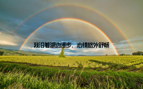 我沿着湖边漫步, 心情格外舒畅