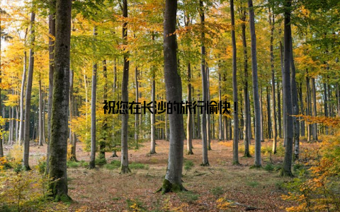 祝您在长沙的旅行愉快!