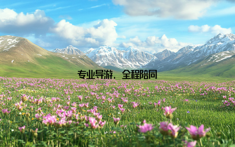 专业导游, 全程陪同