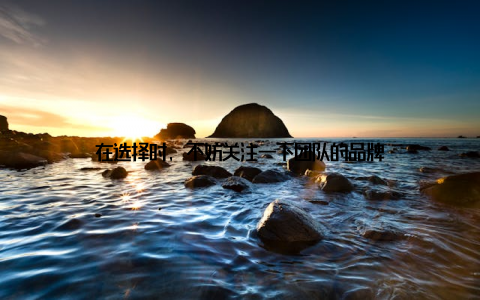 在选择时, 不妨关注一下团队的品牌