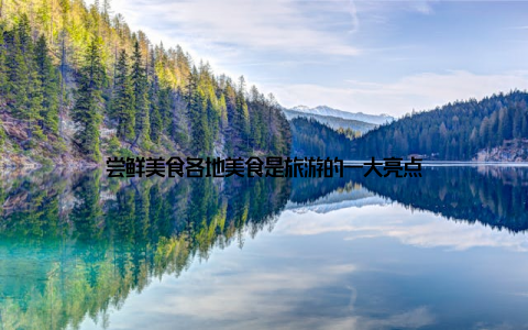 尝鲜美食各地美食是旅游的一大亮点