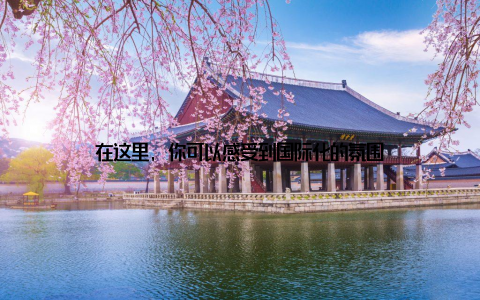 在这里, 你可以感受到国际化的氛围