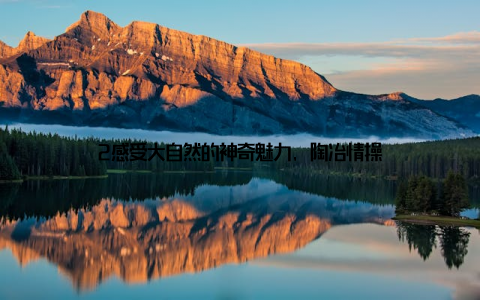 2感受大自然的神奇魅力, 陶冶情操