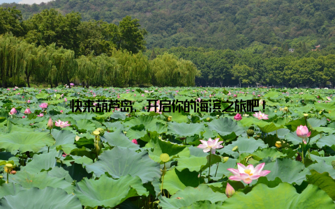 快来葫芦岛, 开启你的海滨之旅吧!