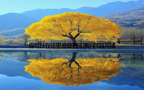 你可以在这里感受到浓厚的民族风情