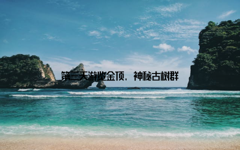 第三天游览金顶, 神秘古树群