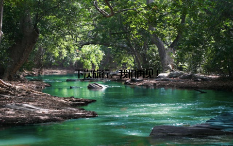 下次旅行, 我们再见!