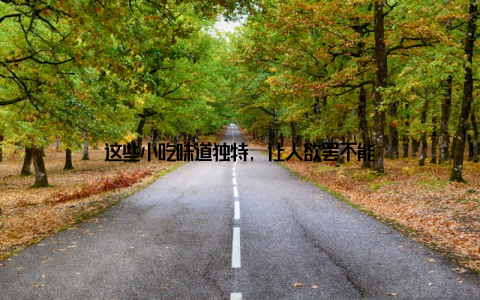 这些小吃味道独特, 让人欲罢不能