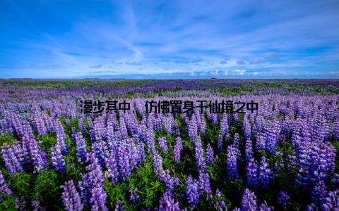 漫步其中, 仿佛置身于仙境之中